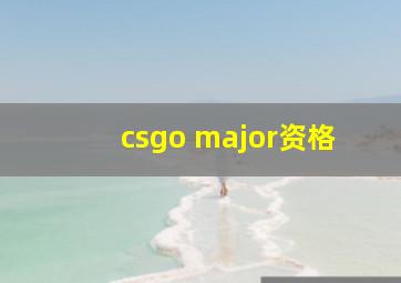 csgo major资格